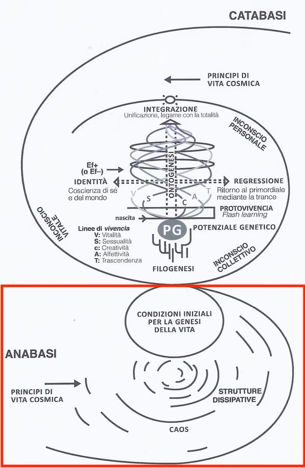 Model of Biodanza and Principles of Cosmic Life and the Genesis of Life