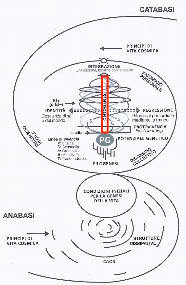 Model of Biodanza and Ontogenesis