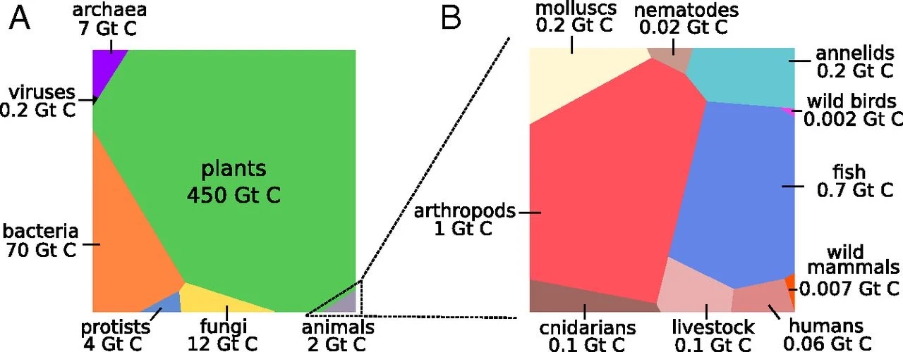 Mass in giga tons of carbon for different groups of species. (Bar-On, Phillips, and Milo 2018)