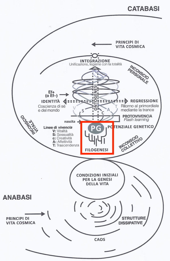 Model of Biodanza and Phylogenesis