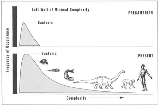 Verdeling van de complexiteit van soorten (Gould 1997)